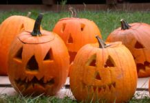 Mit Naturmaterialien arbeiten