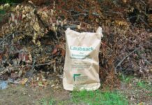 Stadtbildpflege informiert zu Herbstlaub