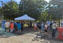 Beteiligung zur Umgestaltung des Umfeldes des Pfalztheaters