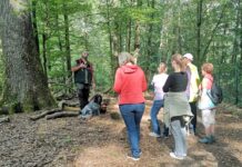 Veranstaltungen informierten über Klimaanpassung