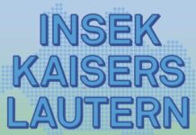 Wie wird sich Kaiserslautern künftig entwickeln?