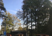 Herbstzeit ist Wanderzeit – Wanderhalbmarathon in Johanniskreuz