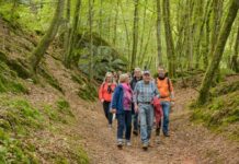 Modellregion mit Vorbildcharakter