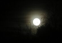 Die Nacht vor Allerheiligen