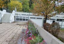 Blumenkübel in voller Pracht