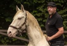 Auf den Spuren einer Pferdeethik: RPTU lädt ein zum offenen Seminar mit Torsten Milz in Kaiserslautern
