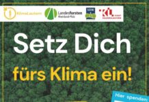 Klimastämme – sechs Sitzbänke für das Stadtgebiet.