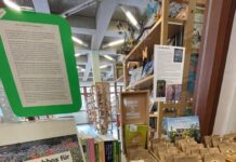 Tauschbox für Blumensamen in der Stadtbibliothek erfreut sich großer Beliebtheit