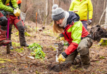 Volunteer Ranger Ferienprogramm