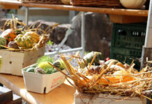 Marmeladenmarkt mit Bestimmung von Streuobstsorten