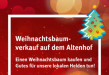 Weihnachtsbaumverkauf kommt Vereinen zu Gute