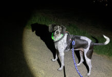 Bringen Sie Licht ins Dunkel