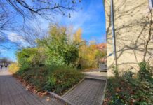 Weiteres Taubenhaus für Kaiserslautern: Standort steht fest