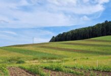 Rund um Gesundheit, Tierwohl, Haltung und Management