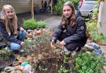 Gemeinsam gärtnern für die Artenvielfalt