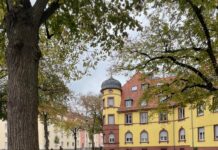 Neugestaltung des Medicusplatzes ist abgeschlossen