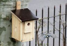 Winterthemen in der Biosphärenakademie
