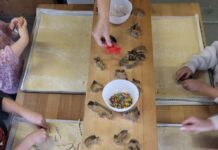 In der Weihnachtsbäckerei, gibt es so manche Leckerei!