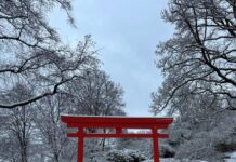 Winteröffnungszeit im Japanischen Garten Kaiserslautern