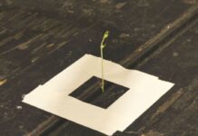 Land gibt Geld für Folgen des Wasserschadens beim Pfalztheater