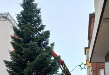 Weihnachtsbaum in der Innenstadt aufgestellt