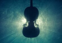 Apollos Gabe: Wirkung des Musizierens auf Körper und Geist