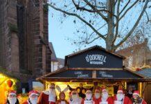 Kaiserslautern bleibt rot 🔴 – mit Herz, Humor und Engagement!