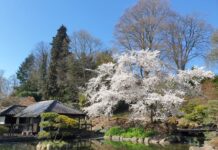 Japanreise im April 2025