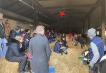 Stallweihnacht für Kinder – Hofgut Neumühle lädt ein, Tieren zu begegnen