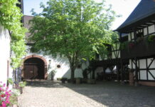 Lautrer Freiräume: Neue Karte zeigt kostenfreie Erlebnismöglichkeiten