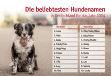 Milo stößt Balu vom Thron