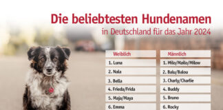 Milo stößt Balu vom Thron