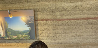 Freiwilliges Ökologisches Jahr (FÖJ) im Haus der Nachhaltigkeit in Johanniskreuz – Jetzt bewerben!