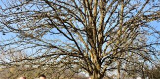 Landwirtschaftsministerinnen aus Rheinland-Pfalz und dem Saarland zu Gast auf dem Hofgut Neumühle