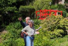 „Kirschblüten-Lesespaziergang mit dem Duo Wortlaut im Japanischen Garten am 23.03.25