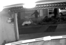 Fall „Diana Bodi“ bei ARD „Brisant“