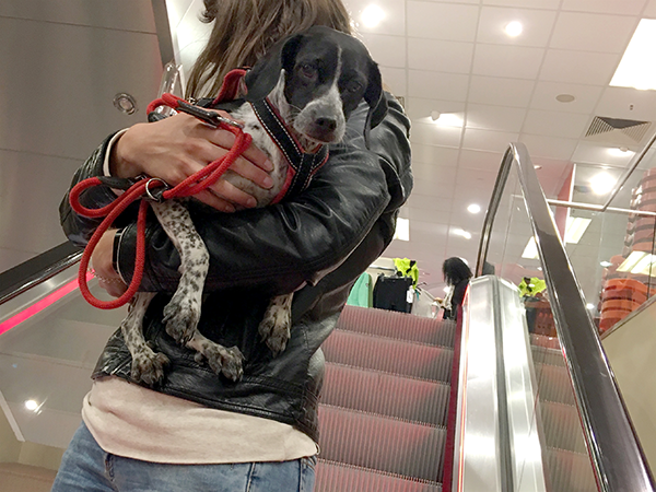 vcsPRAsset_3722489_414468_de558290-6c65-4370-9999-503b0ff1224c_0