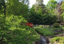 Waldbaden im Japanischen Garten