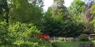 Waldbaden im Japanischen Garten