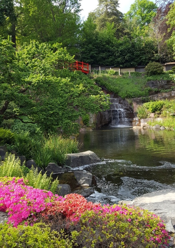 20230517_164531_kl_April