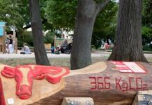 Zum internationalen Tag der Wälder: Klimabänke entstehen in Kaiserslautern