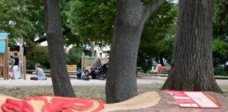 Zum internationalen Tag der Wälder: Klimabänke entstehen in Kaiserslautern