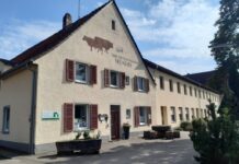 Einführung in die praktische Schafschur