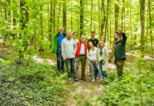 Für mehr Sicherheit bei Führungen im Wald