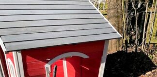 Auf Kita-Gelände gewütet – Zeugen gesucht!