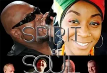 Spirit of Soul, Irish House