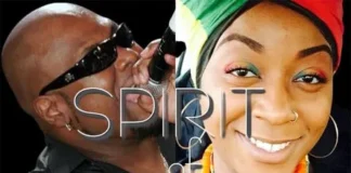 Spirit of Soul, Irish House