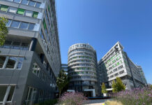 Neues Zuhause für Tierschutzorganisation