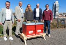 Es summt auf’m Dach – Sparkasse Kaiserslautern initiiert Honigbienenprojekt