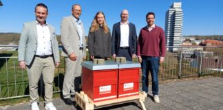 Es summt auf’m Dach – Sparkasse Kaiserslautern initiiert Honigbienenprojekt